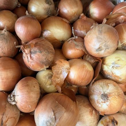 Cassetta di cipolle dorate sul banco, vista dall'alto