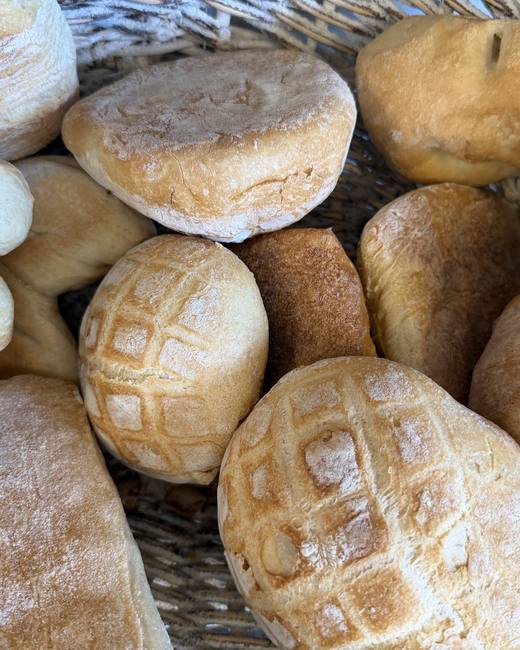 Pane